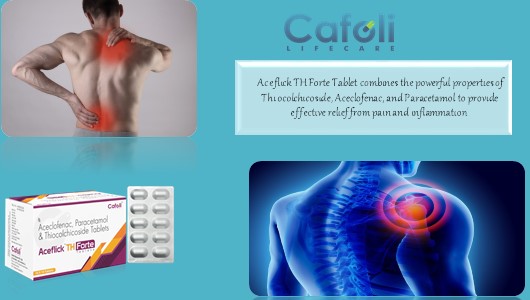 Aceflick TH Tablet with Aceclofenac 100mg + Thiocolchicoside 4mg at Best Price in Analgesic Pharma Franchise for Pain Relief and Muscle Relaxants